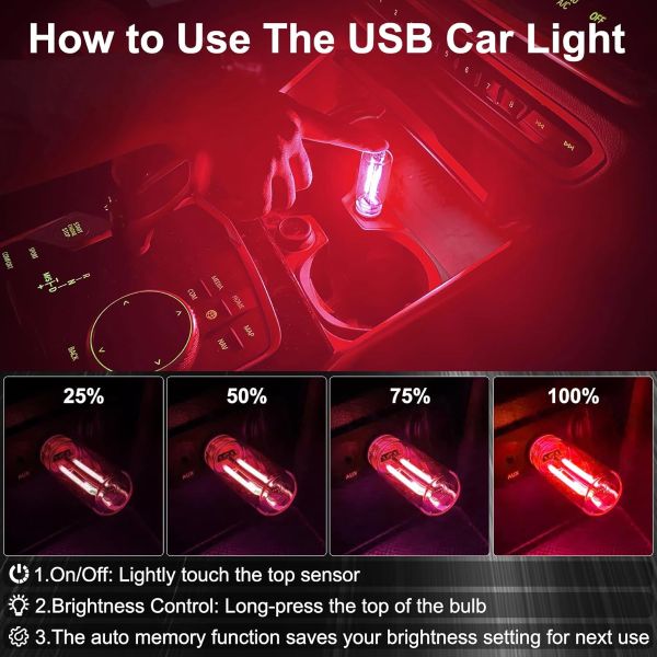 CARBULB-3831127633848-EN-2__080426