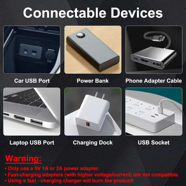 CARBULB-3831127633848-EN-5__280126